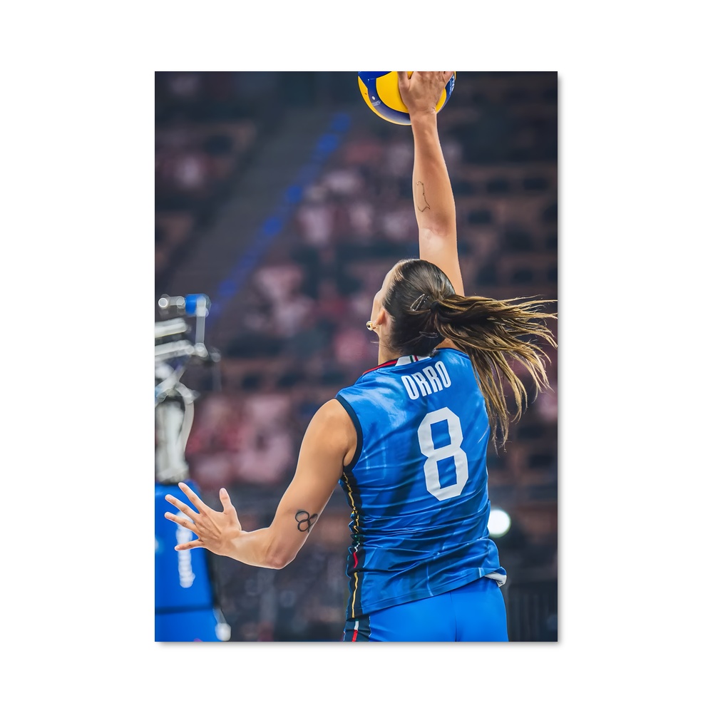 Poster Élan de Volée